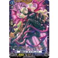 艶美なる一夜 ラプチュラス D-BT13/FR14