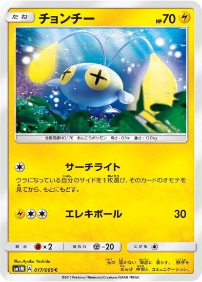 PK-SM1M-017 チョンチー C