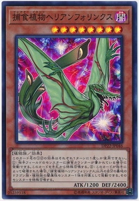 捕食植物ヘリアンフォリンクス DP22-JP046