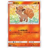 PK-SM9-014 ロコン C