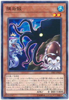 隅烏賊 SAST-JP029