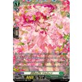 DZ-BT03/FFR18 友好の乙女 アルヴィナ FFR
