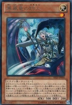 暴風竜の防人 [SD25-JP006]