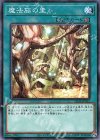 魔法族の里 SD39-JP023