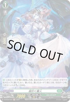 【H仕様】袖引く麗人[VG_D-BT02/H44H]