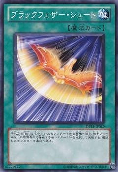 ブラックフェザー・シュート DP11-JP019