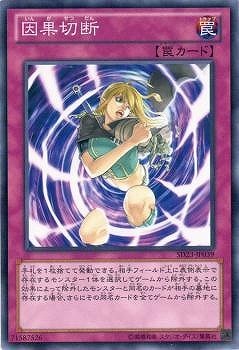 因果切断 [SD23-JP039]