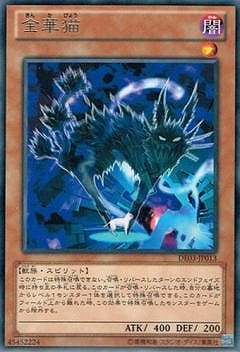 第8期/DE03-JP013 金華猫 R