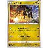 PK-S12-075 ジガルデ C