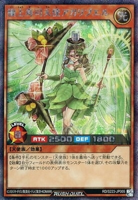 RD/S223-JP002 ＣＡＮ：Ｄ ＬＩＶＥ【シークレットレア】