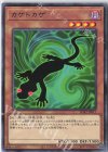 カゲトカゲ SD42-JP017