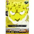 受け継がれるジャガーの魂 ミック D-TB04/079