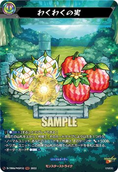【MSR仕様(RR)】わくわくの実[VG_D-TB06/MSR032]