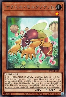 ナチュル・モルクリケット DABL-JP020