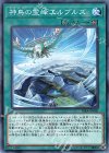 神鳥の霊峰エルブルズ RIRA-JP060
