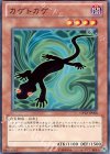 カゲトカゲ DP12-JP008