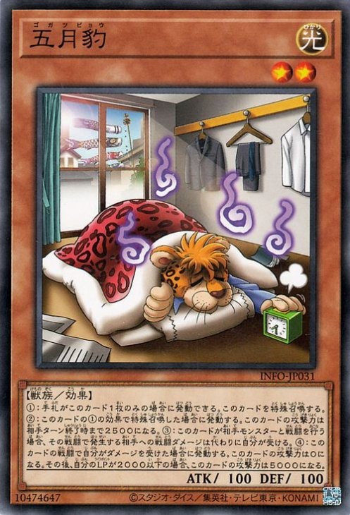 五月豹 INFO-JP031