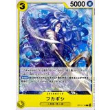 フカボシ OP11-110