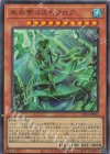 氷水帝コスモクロア [CF01-JP083]