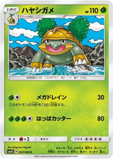 PK-SM5S-007 ハヤシガメ C