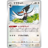 PK-S3a-062 ケララッパ C