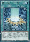 儀水鏡との交信 EXVC-JP059