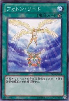 フォトン・リード DP13-JP024