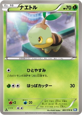 PK-BW07-001 ナエトル C