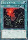 森のざわめき PHSW-JP058