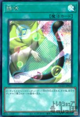 調律 [QCCU-JP056]