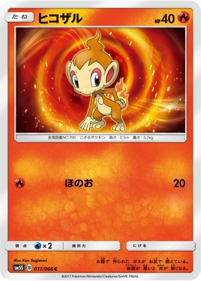 PK-SM5S-017 ヒコザル C
