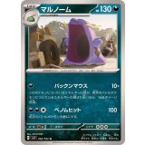 PK-SV7-062 マルノーム U