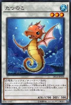 たつのこ DF16-JP004