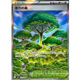 109/080 SR 活力の森