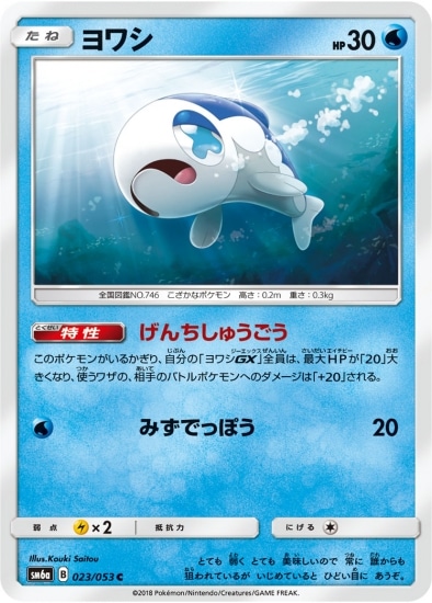 PK-SM6A-023 ヨワシ C