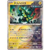 PK-SV8a-055 テツノイバラ