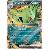 PK-SVM-078 バンギラスex RR