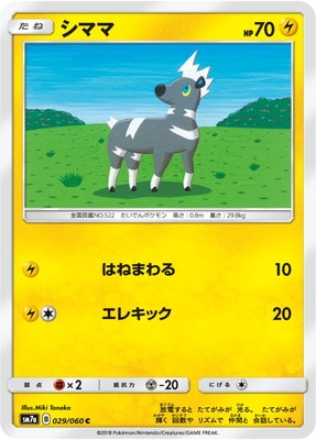 PK-SM7A-029 シママ C