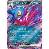 PK-SV1S-055 ドクロッグex RR