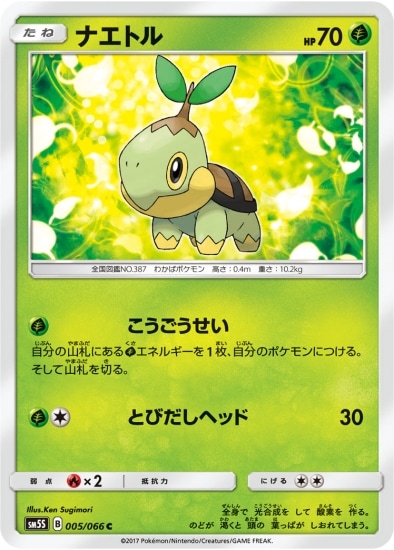 PK-SM5S-005 ナエトル C
