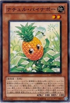 ナチュル・パイナポー EXP4-JP013