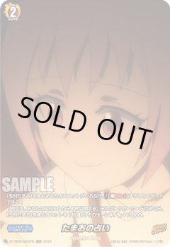 【SKR仕様(C)】たまおの占い[VG_D-TB03/SKR76SKR]