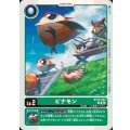 ピナモン BT20-004