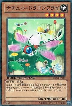 ナチュル・ドラゴンフライ [DTC2-JP040]