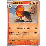 PK-SVM-026 カエンジシ