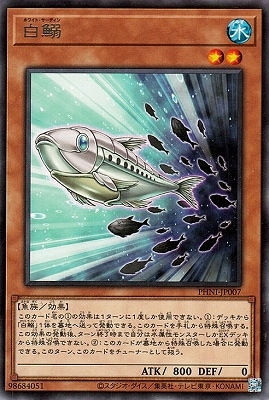 白鰯 PHNI-JP007