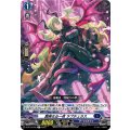 艶美なる一夜 ラプチュラス D-BT13/042