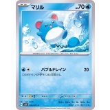 PK-SV2P-016 マリル C