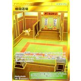 PK-SM11a-079 格闘道場 UR
