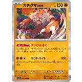 PK-SV6a-025 ガチグマ アカツキ R